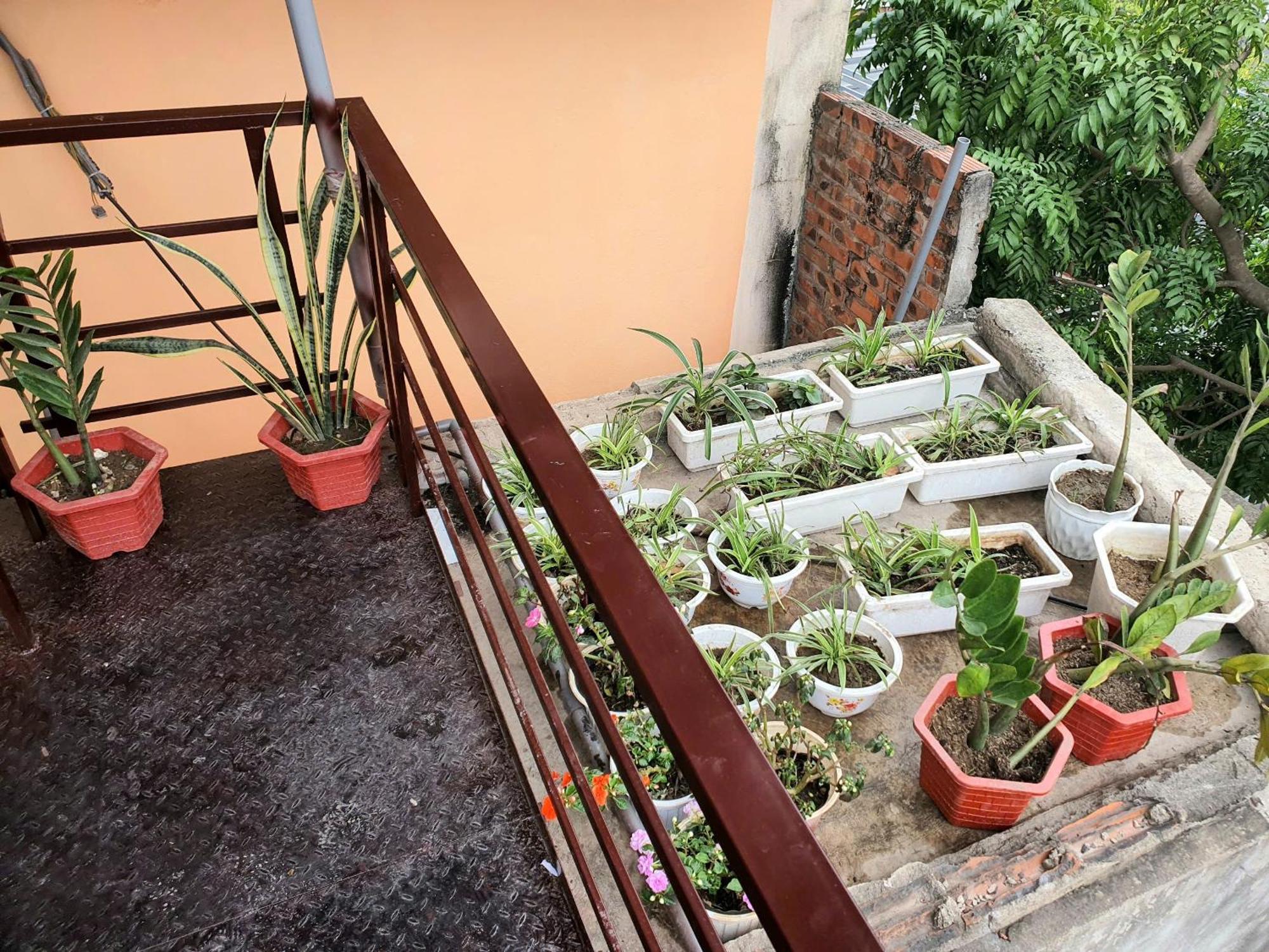 Jamerik Taco Bar - Hostel Ninh Binh Exterior foto